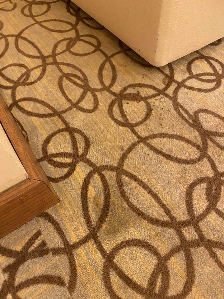 «Заселили в номер 5-звездочного отеля — мы были в тихом ужасе». История отпуска со «все включено» в Турции