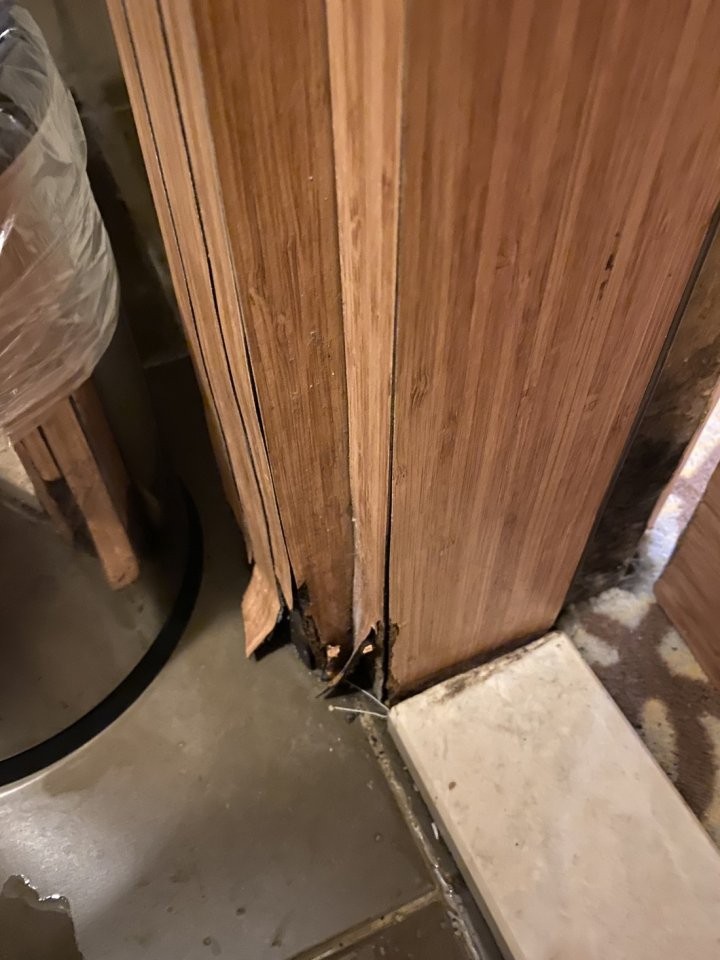 «Заселили в номер 5-звездочного отеля — мы были в тихом ужасе». История отпуска со «все включено» в Турции