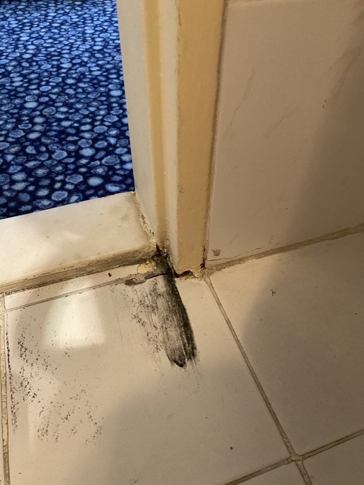 «Заселили в номер 5-звездочного отеля — мы были в тихом ужасе». История отпуска со «все включено» в Турции