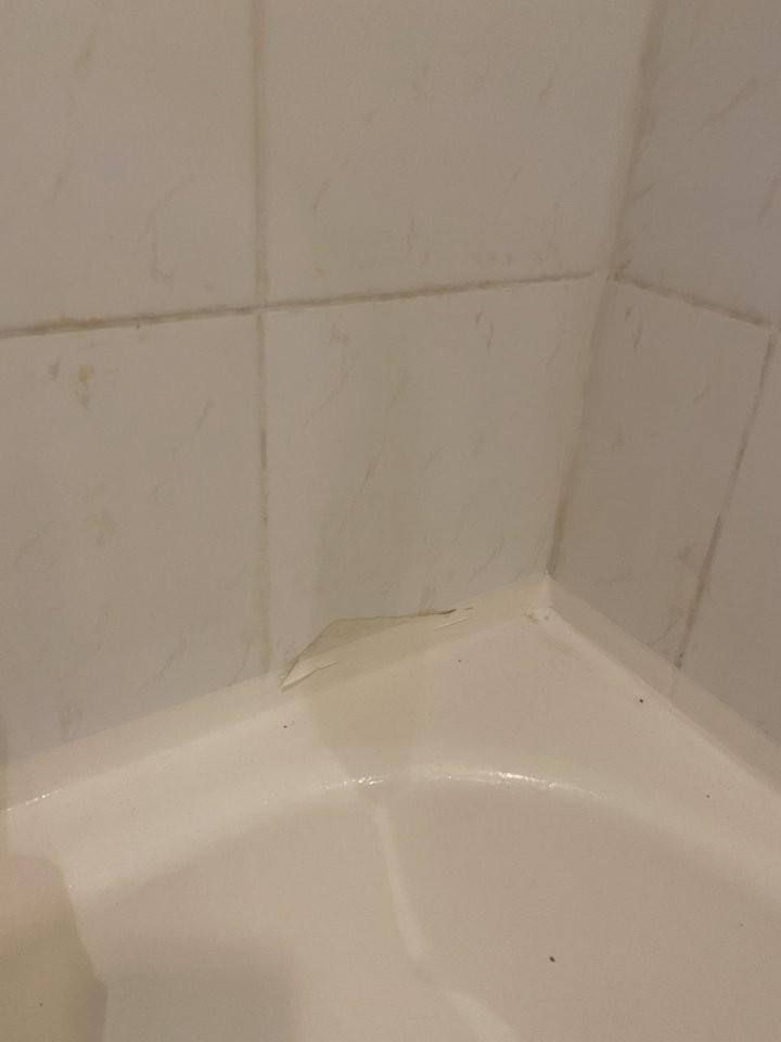 «Заселили в номер 5-звездочного отеля — мы были в тихом ужасе». История отпуска со «все включено» в Турции