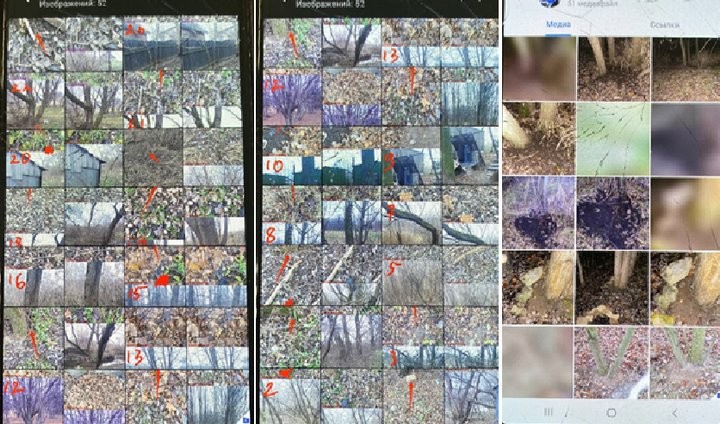 Житель Брестской области хранил и сбывал наркотики: расследование завершено