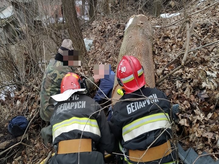 В Мозыре на мужчину упало дерево