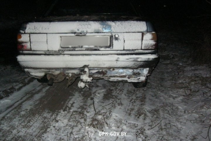 Ночью вблизи границы с Украиной пограничники с применением оружия задержали двух нарушителей