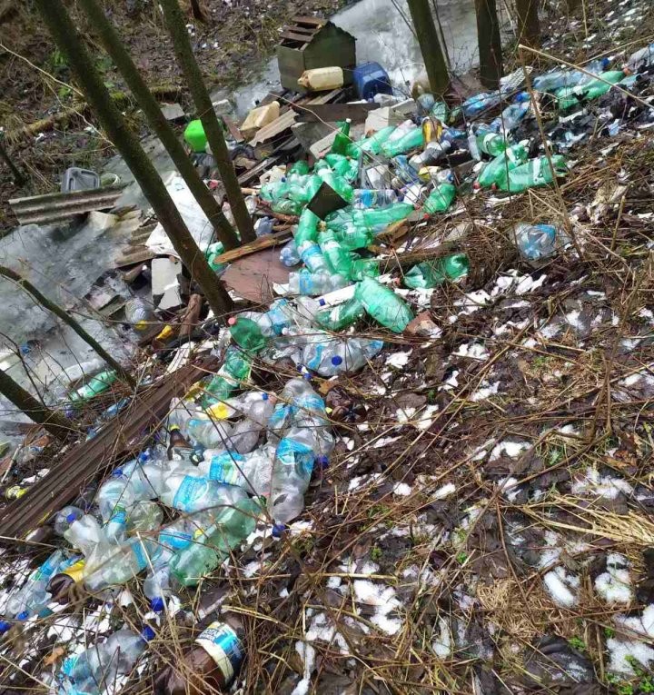 Cвалку-«свинячник» неизвестный в Пинском районе