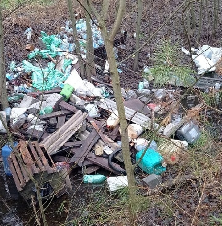 Cвалку-«свинячник» неизвестный в Пинском районе