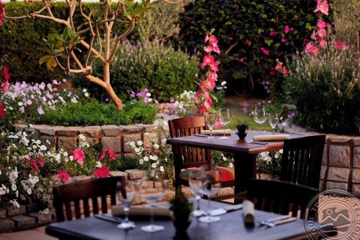 Тараканы, сырая картошка, суп без ложки. Брестчанин об отдыхе в Египте