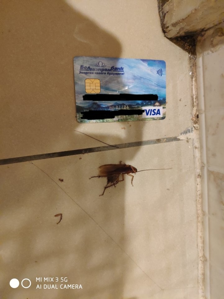 Тараканы, сырая картошка, суп без ложки. Брестчанин об отдыхе в Египте