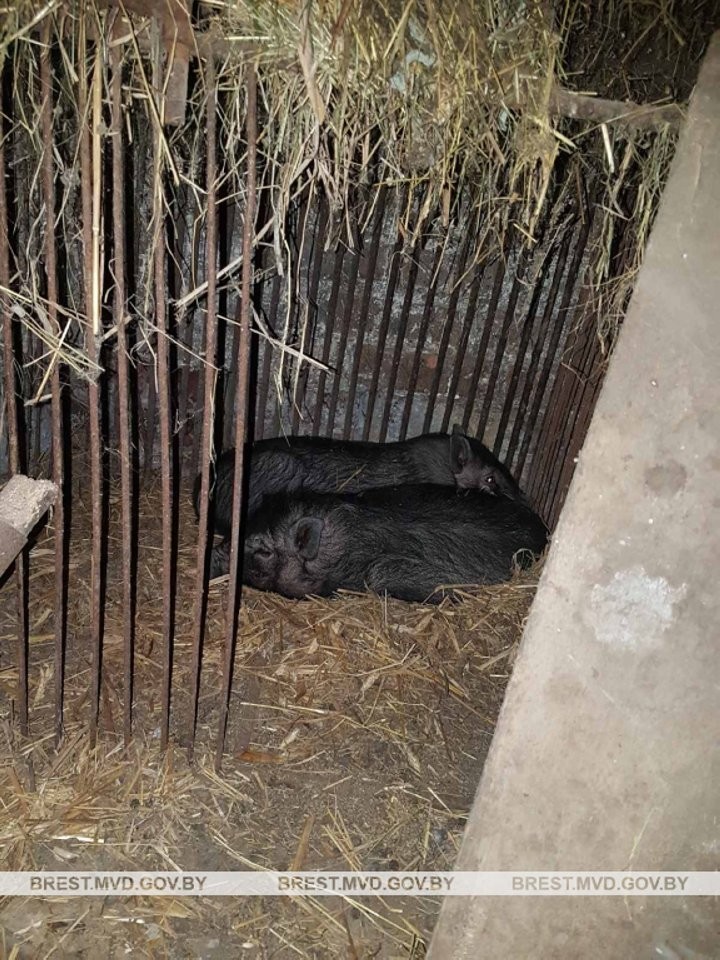 В Березовском районе мужчина вызвал такси и поехал воровать