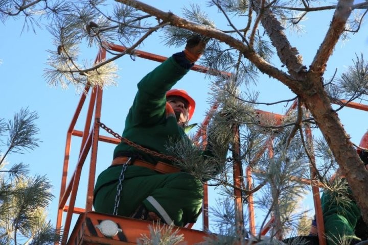 Фото из открытых источников (иллюстративное)