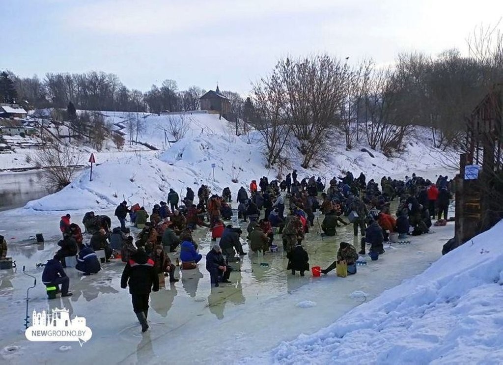 Оголодали? Толпы «рыбаков» снова выгребают рыбу из зимовального затона