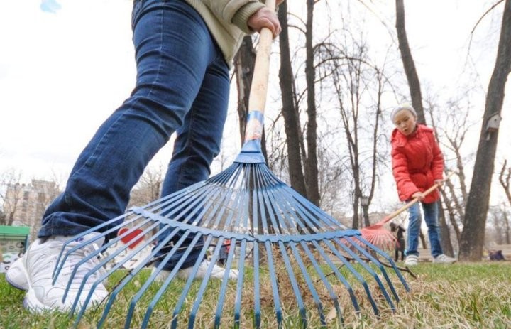Весной в Бресте приведут в порядок все захоронения ветеранов ВОВ