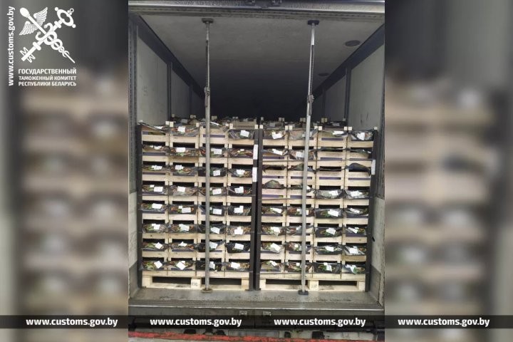 Брестские таможенники развернули грузовик с польскими грушами