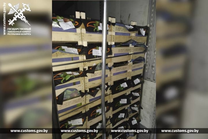 Брестские таможенники развернули грузовик с польскими грушами