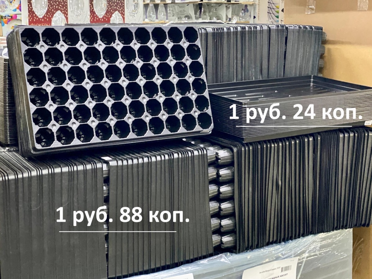 «Светофор» на Приграничной пополнился новыми сезонными товарами и приглашает всех за покупками