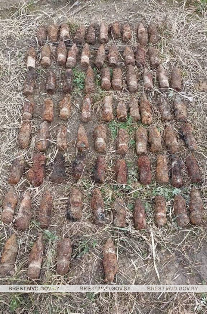 В Бресте при проведении строительных работ обнаружили боеприпасы