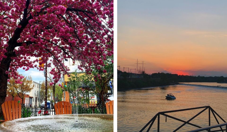 «В Нью-Йорке придется экономить, даже если твой доход выше среднего по стране». Белоруска — о жизни в разных городах США