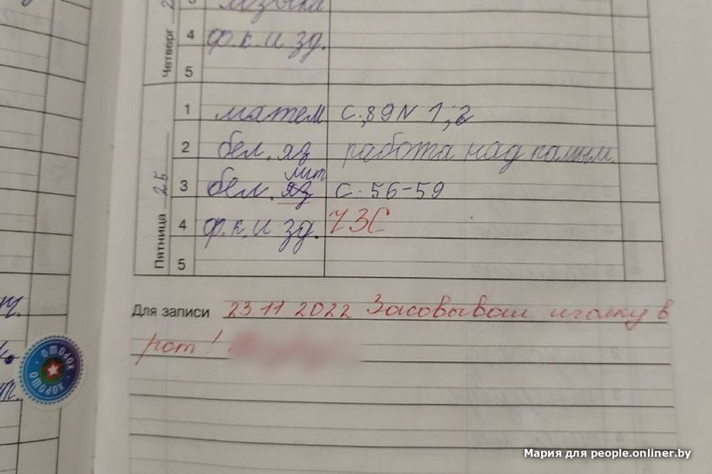 Что пишут белорусские учителя в дневниках
