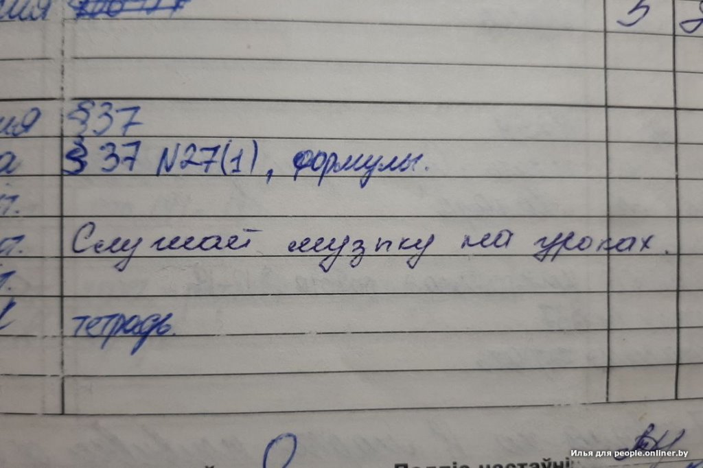 Что пишут белорусские учителя в дневниках