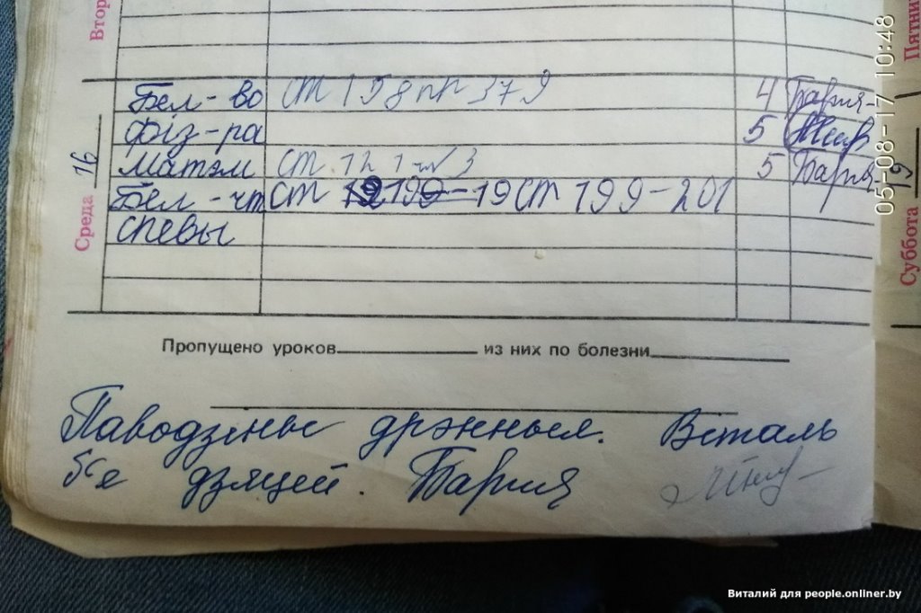 Что пишут белорусские учителя в дневниках