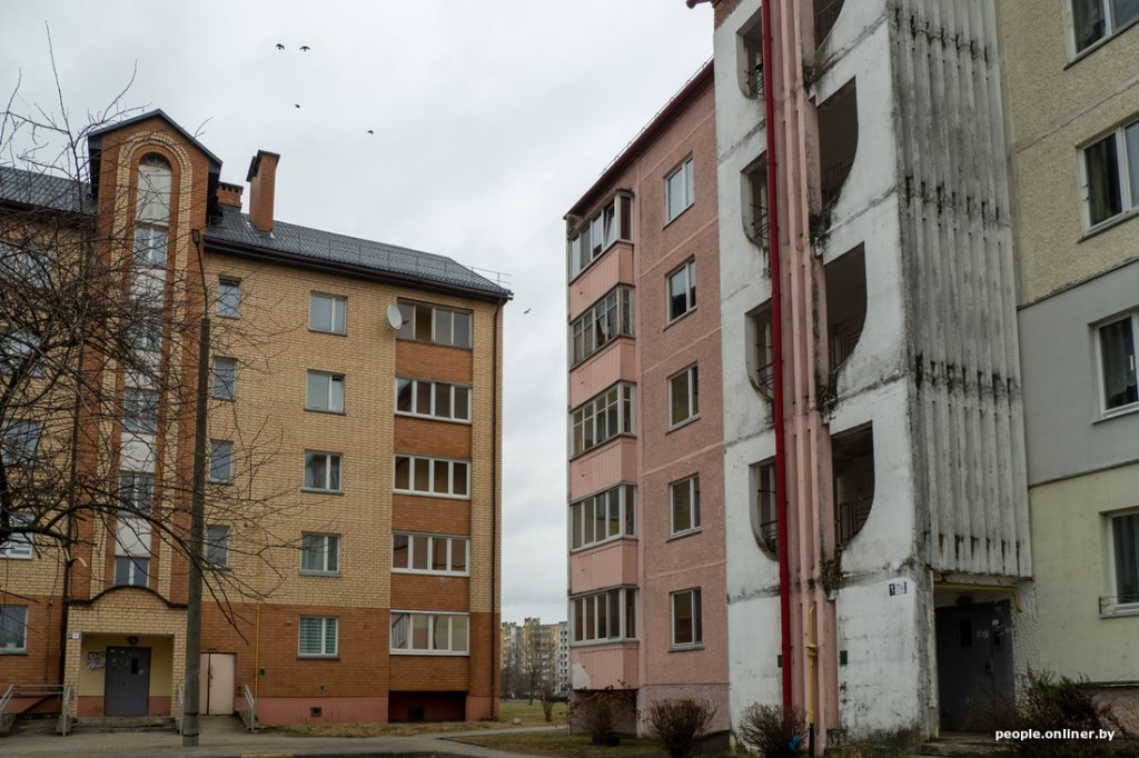 «Я говорил жене: ну невозможно же так жить!» Белоруска приютила дома больше 20 котов, а теперь тяжело больна