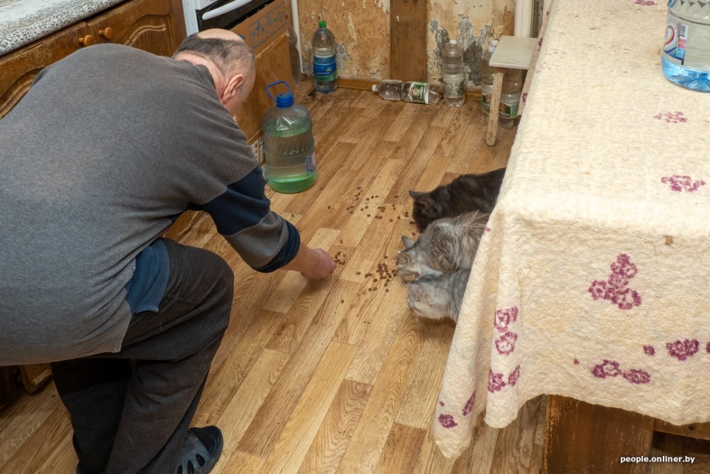 «Я говорил жене: ну невозможно же так жить!» Белоруска приютила дома больше 20 котов, а теперь тяжело больна