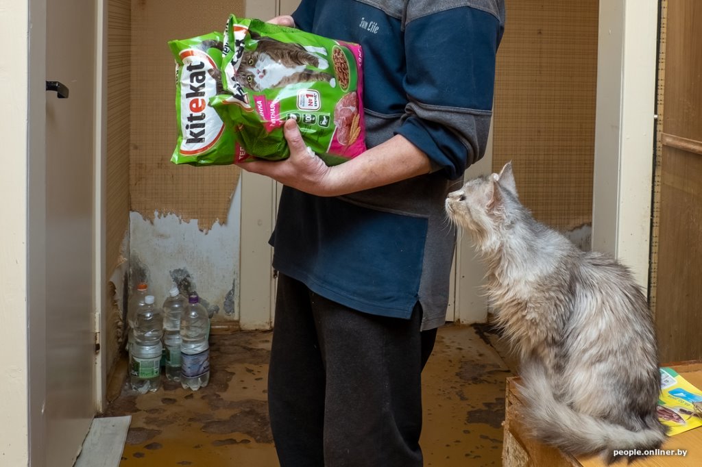 «Я говорил жене: ну невозможно же так жить!» Белоруска приютила дома больше 20 котов, а теперь тяжело больна