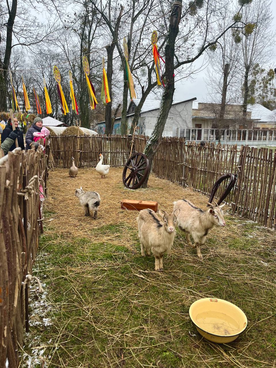 Так провожают сегодня Масленицу в Бресте в Парке культуры и отдыха