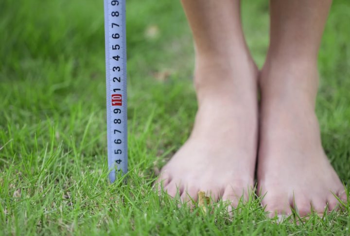 Фото из открытых источников (иллюстративное)