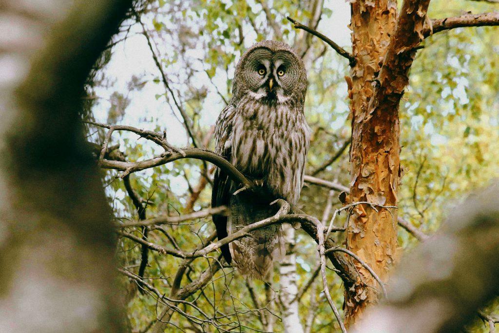 Почему Ивацевичский район привлекает туристов