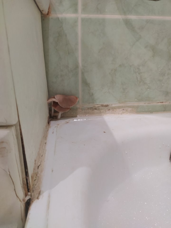 Меньше всего в ванной ожидаешь увидеть это. Белорус заселился в квартиру на сутки