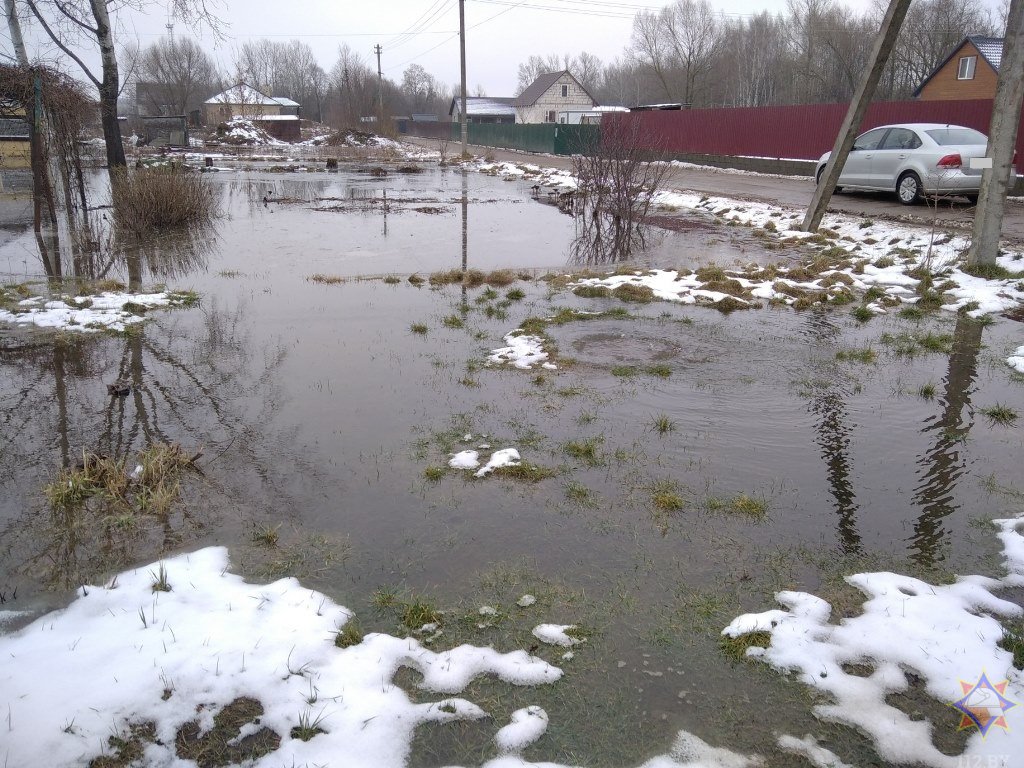 Подтопления более 100 дачных участков в Бресте
