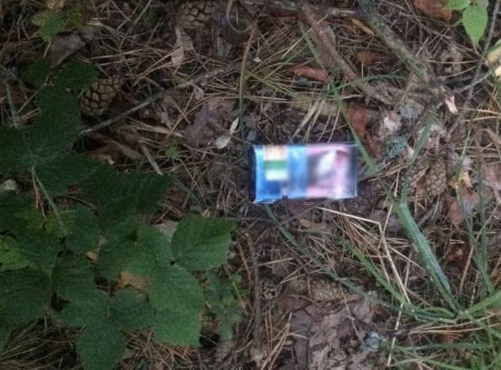 Фото из открытых источников (иллюстративное)