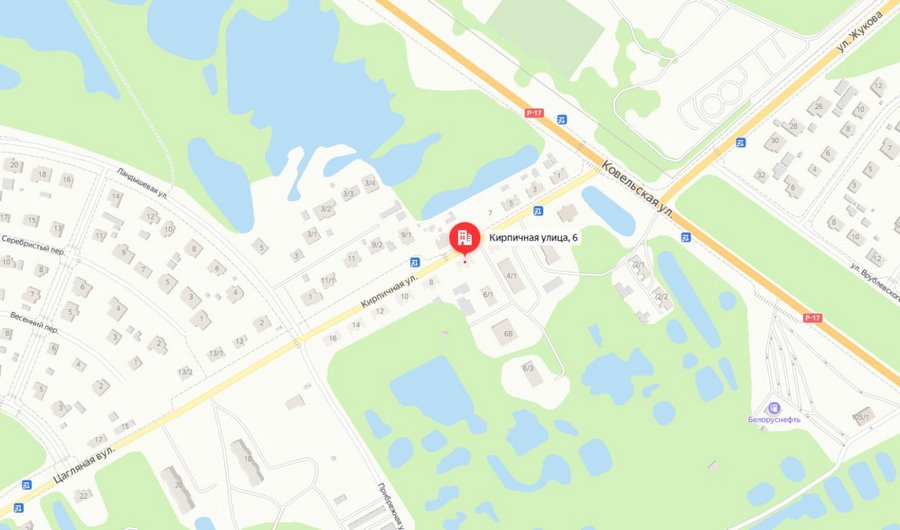 В районе «Брестской Венеции» продают необычные дома с участками