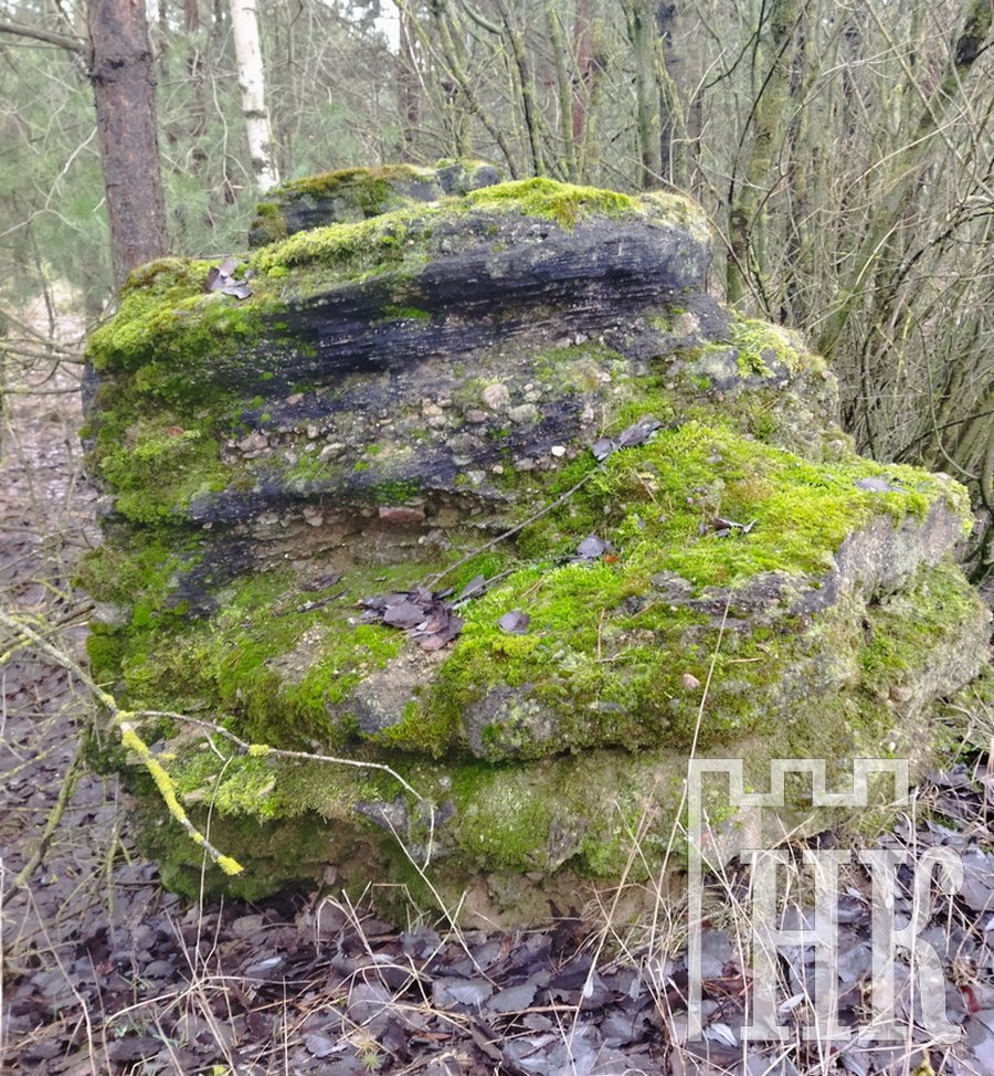 Найденные в Каменецком районе глыбы конгломератов ученые считают уникальными