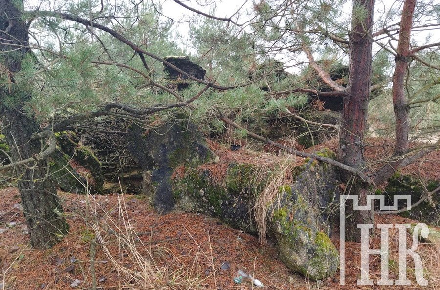 Найденные в Каменецком районе глыбы конгломератов ученые считают уникальными