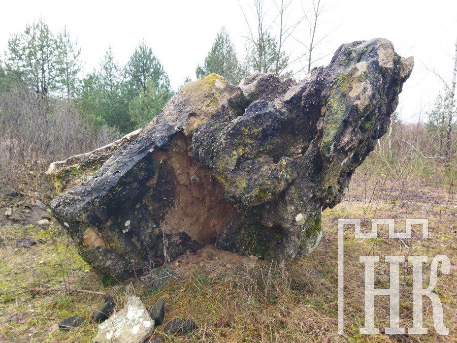 Найденные в Каменецком районе глыбы конгломератов ученые считают уникальными