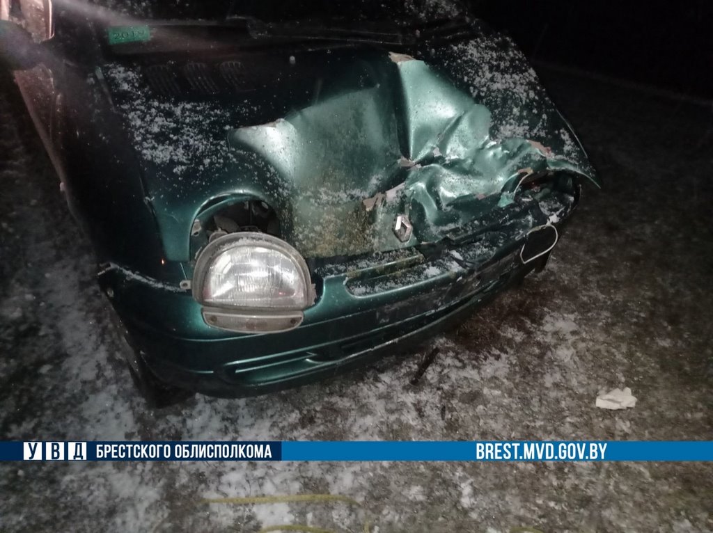 Лоси стали виновниками тройного ДТП в Жабинковском районе