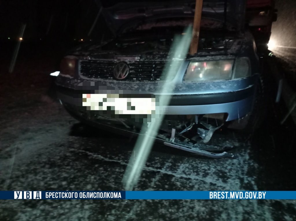 Лоси стали виновниками тройного ДТП в Жабинковском районе