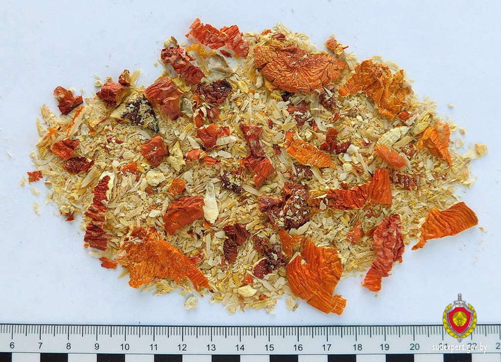 В Беларуси четверо молодых людей отравились мухоморами, желая достичь галлюциногенного эффекта