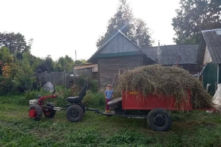 Нашли водителя, ехавшего на полумашине. Чем для него обернулась поездка