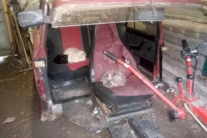 Нашли водителя, ехавшего на полумашине. Чем для него обернулась поездка