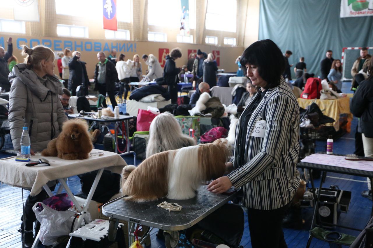 В Ляховичах прошла республиканская выставка собак всех пород. Смотрите фото
