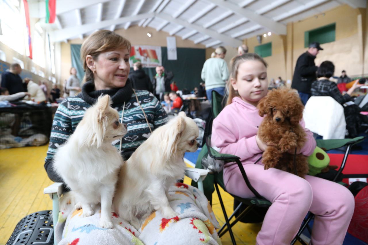 В Ляховичах прошла республиканская выставка собак всех пород. Смотрите фото