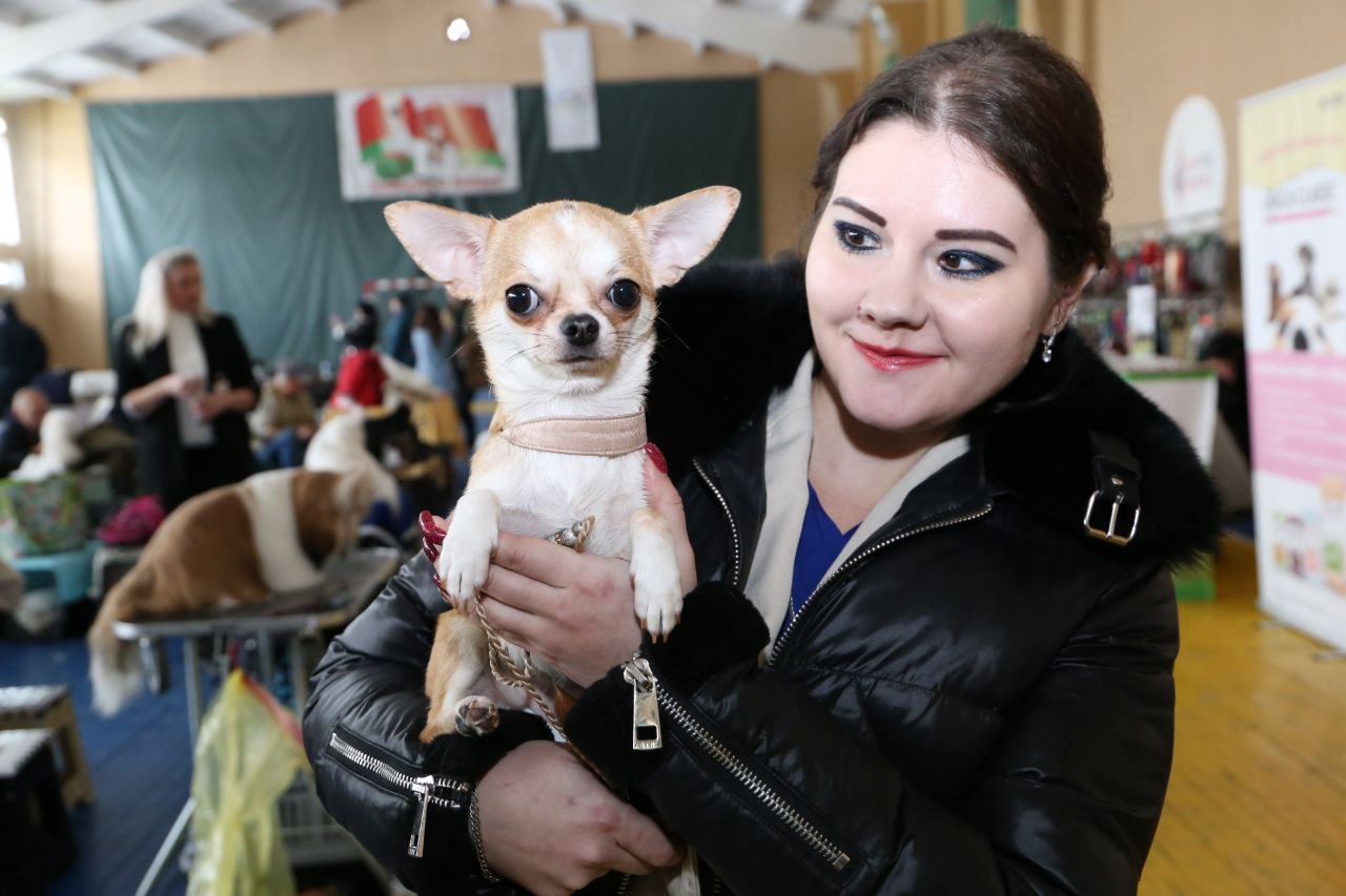 В Ляховичах прошла республиканская выставка собак всех пород. Смотрите фото