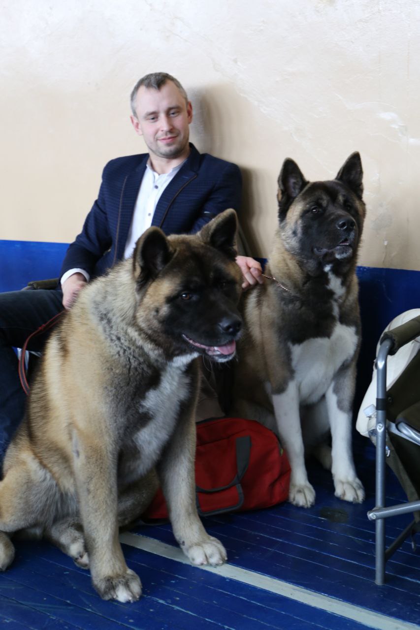 В Ляховичах прошла республиканская выставка собак всех пород. Смотрите фото