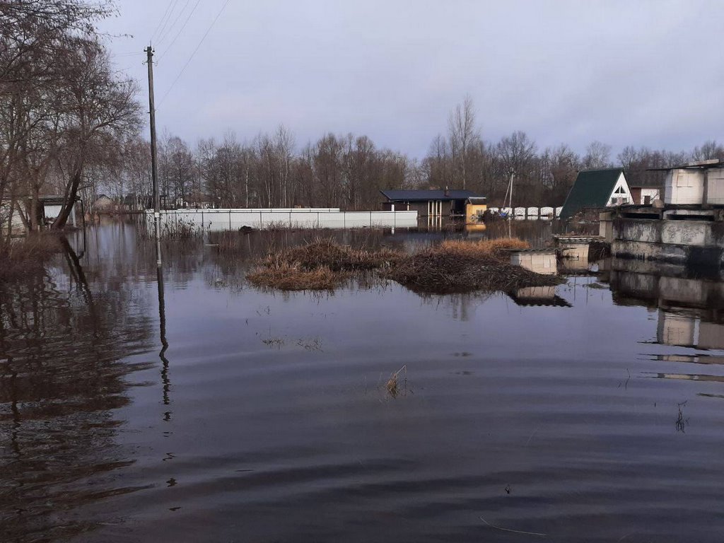 Что с паводком в Бресте и окрестностях: вода отступает, но это малозаметно