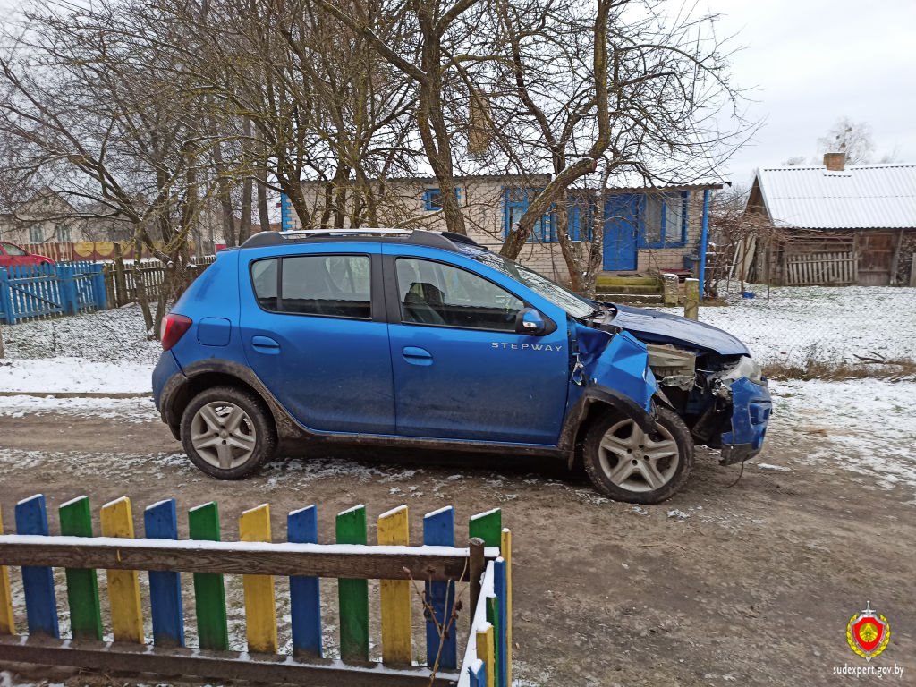 У 26-летней жительницы Пружанского района угнали Renault