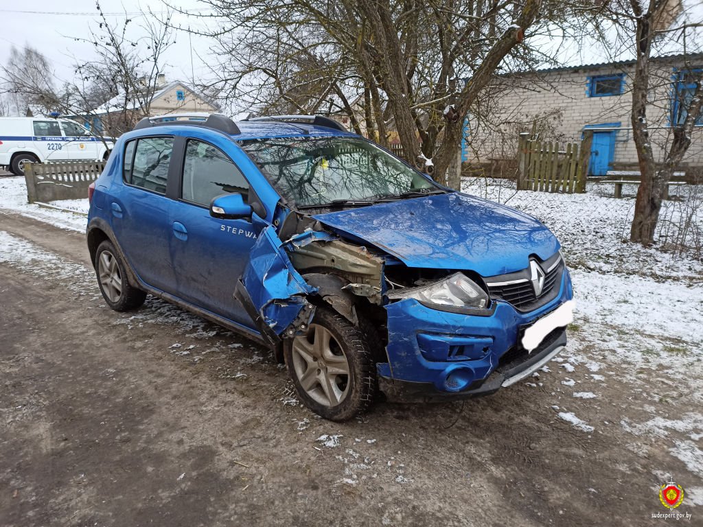 У 26-летней жительницы Пружанского района угнали Renault