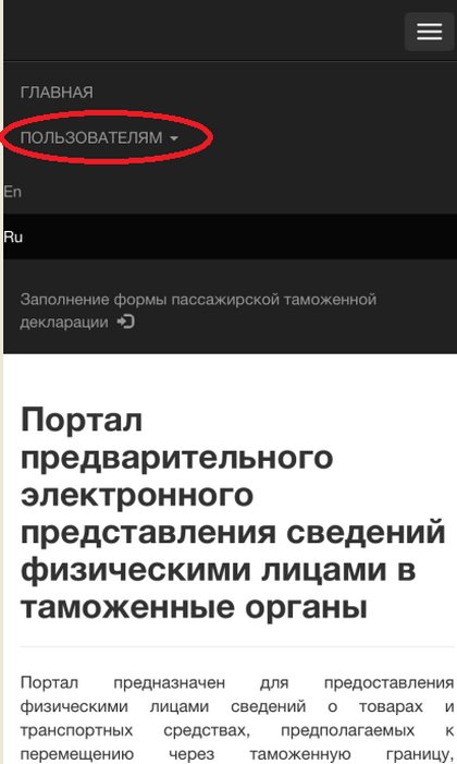 Как физическим лицам ускорить прохождение границы. Вот способ