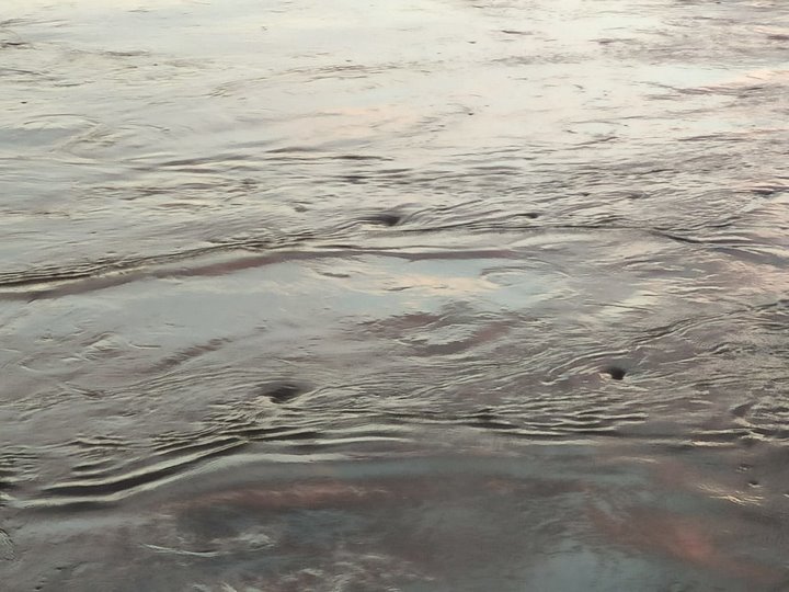 В Бресте женщина упала с моста в воду. Чем все закончилось?